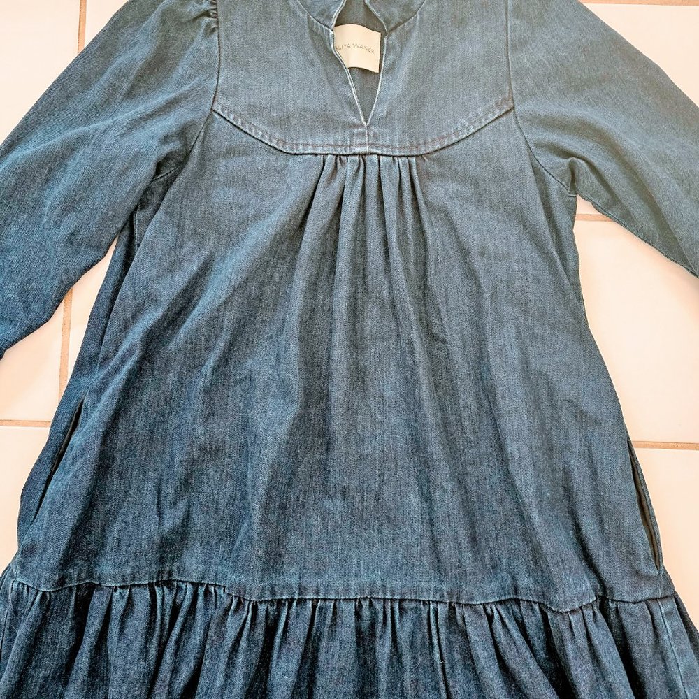 Aliya Wanek Denim Dress - Picture 2 of 5